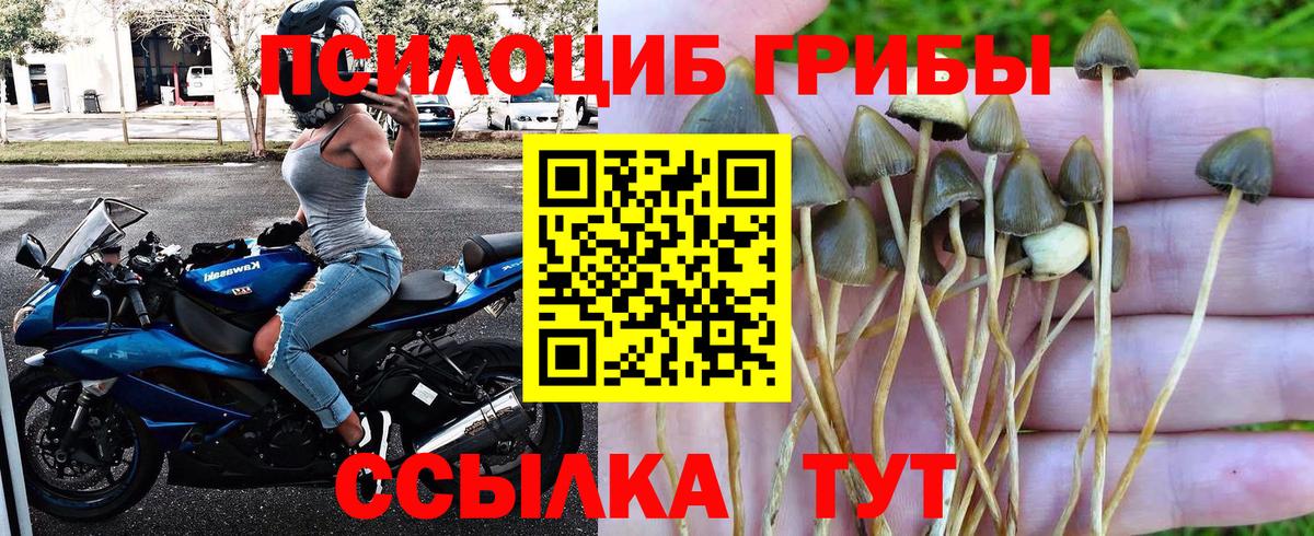 Краснокамск  Галлюциногенные грибы Psilocybine cubensis  Галлюциногенные грибы GOLDEN TEACHER  Вход с VPN 